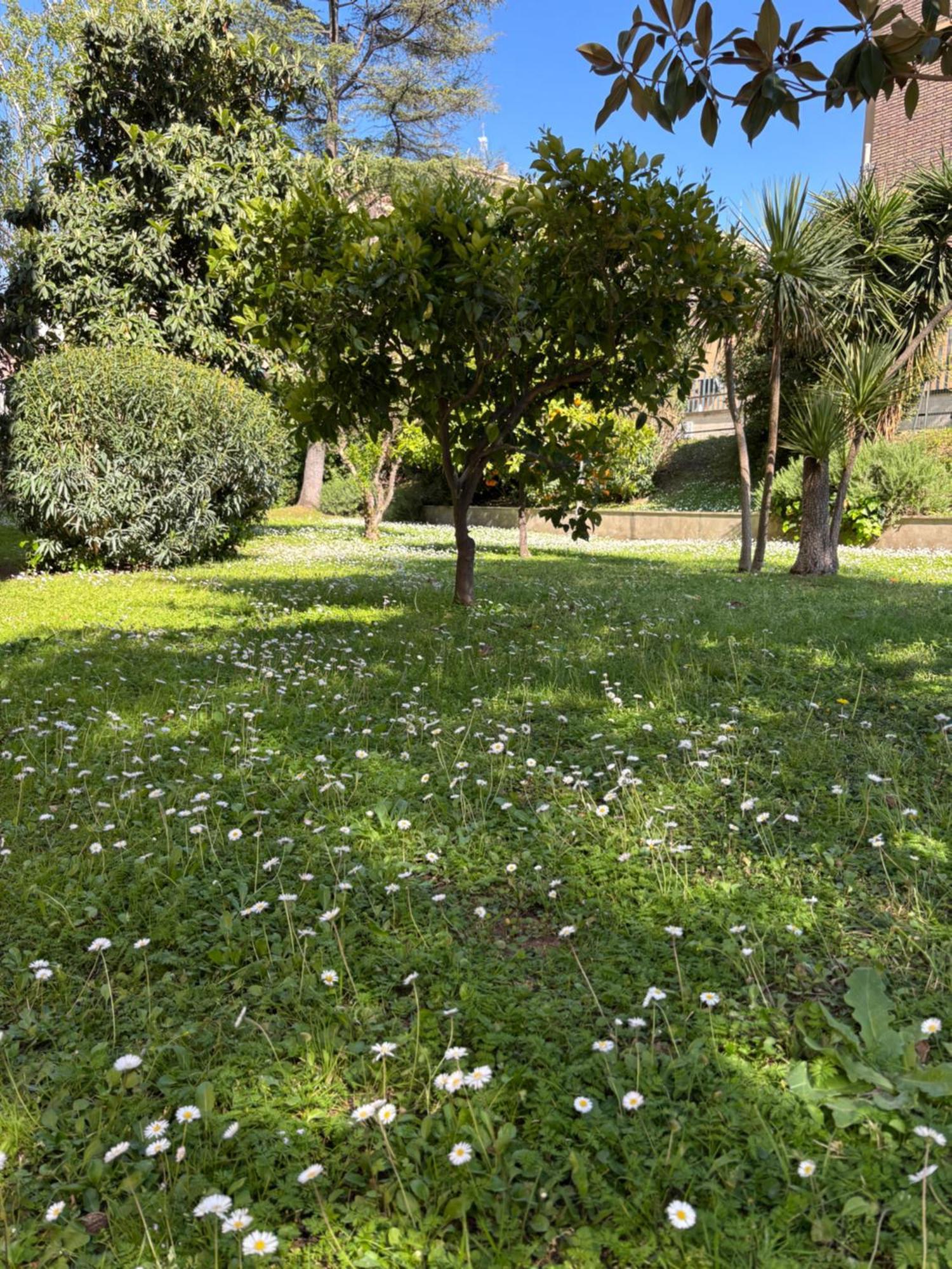 Grelly'S House - Holiday In Rome - 50 Meters From The Metro Roma Exterior foto