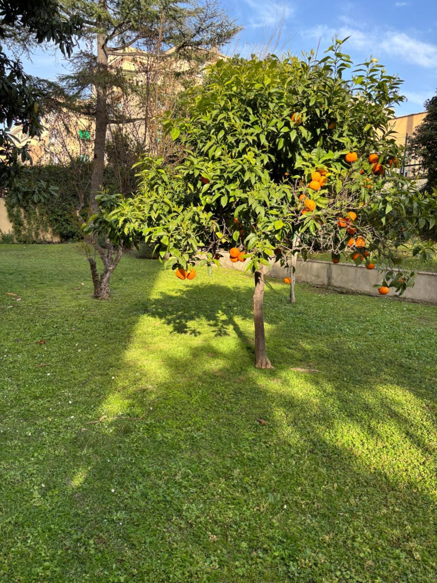 Grelly'S House - Holiday In Rome - 50 Meters From The Metro Roma Exterior foto